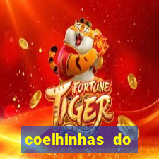 coelhinhas do brasil site